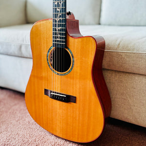 Shenoy Guitars SGA-010 (The Tree of Life)
