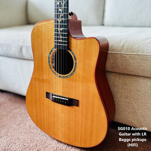 Shenoy Guitar SGA-010 (The Tree of Life)